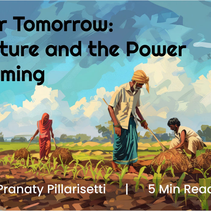 Healing the Soil for Tomorrow: Understanding Nature and the Power of Multi-Layer Farming