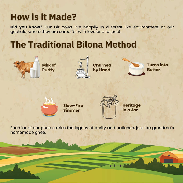 A2 Gir Cow Bilona Ghee — Hand-Churned, Grass-Fed, 100% Pure | Rajamudi Organics