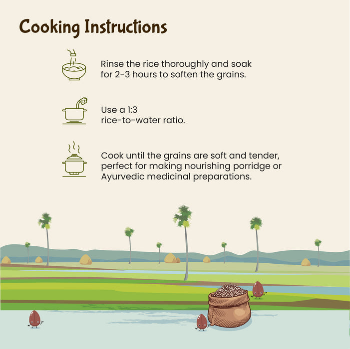 Kerala Medicinal Navara Rice - Organic Navara Rice by Rajamudi